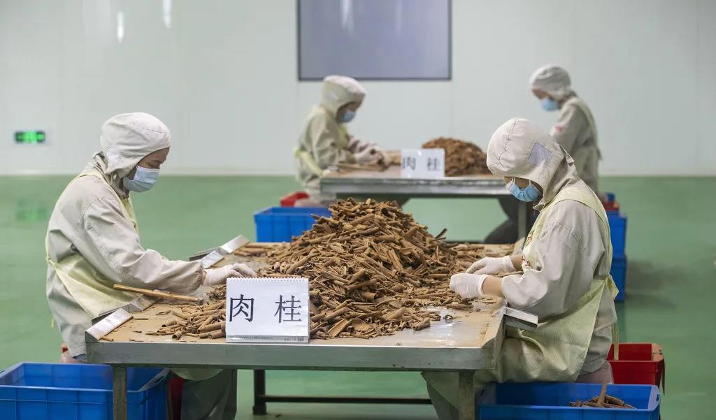 苹果发布会上王守义十三香为何引发流血事件？