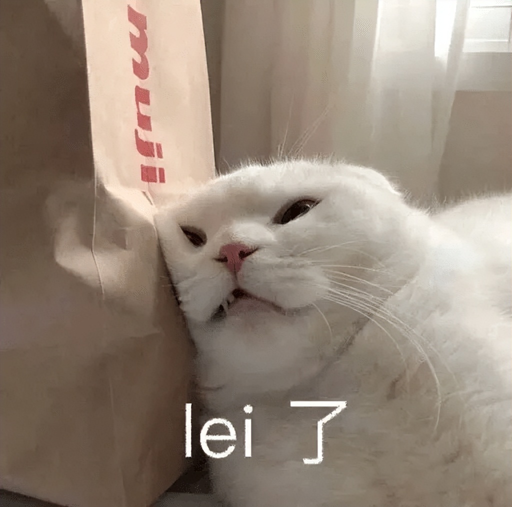 猫咪太瘦了怎么养增肥,猫咪太小太瘦了怎么办