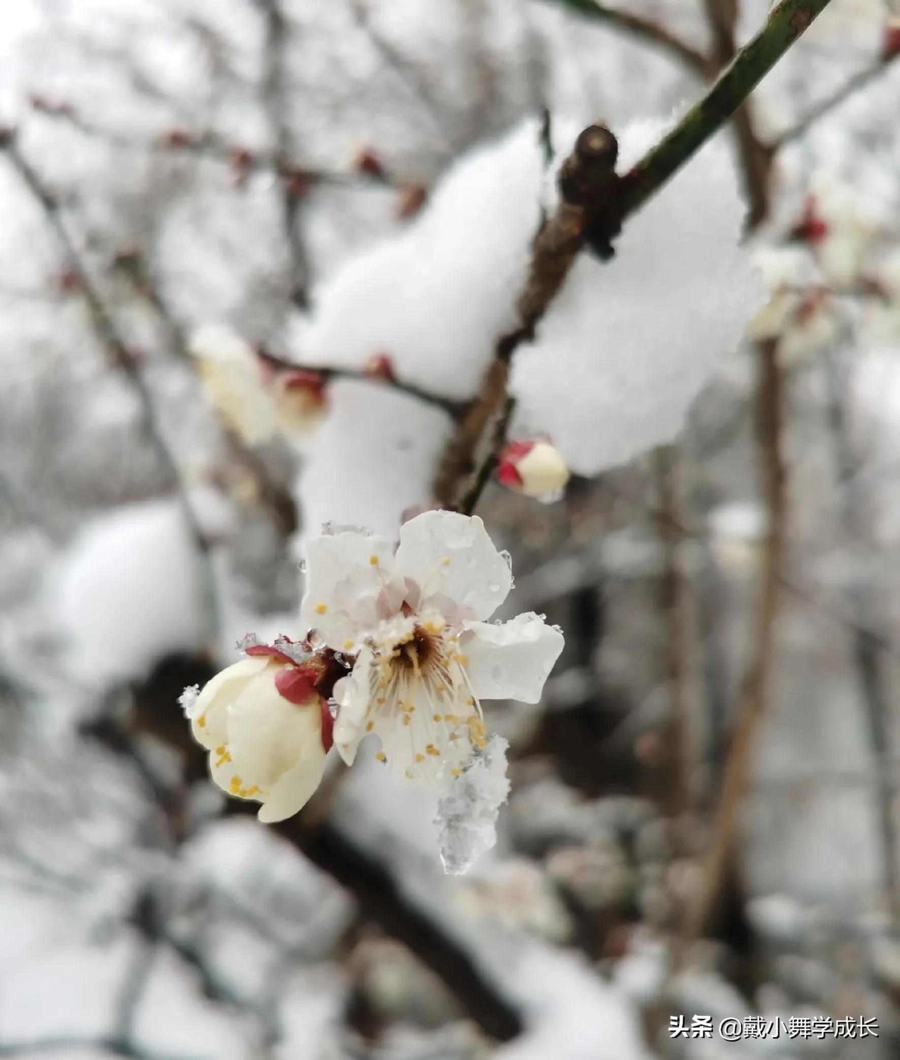 男足都有谁,男足与日本男足