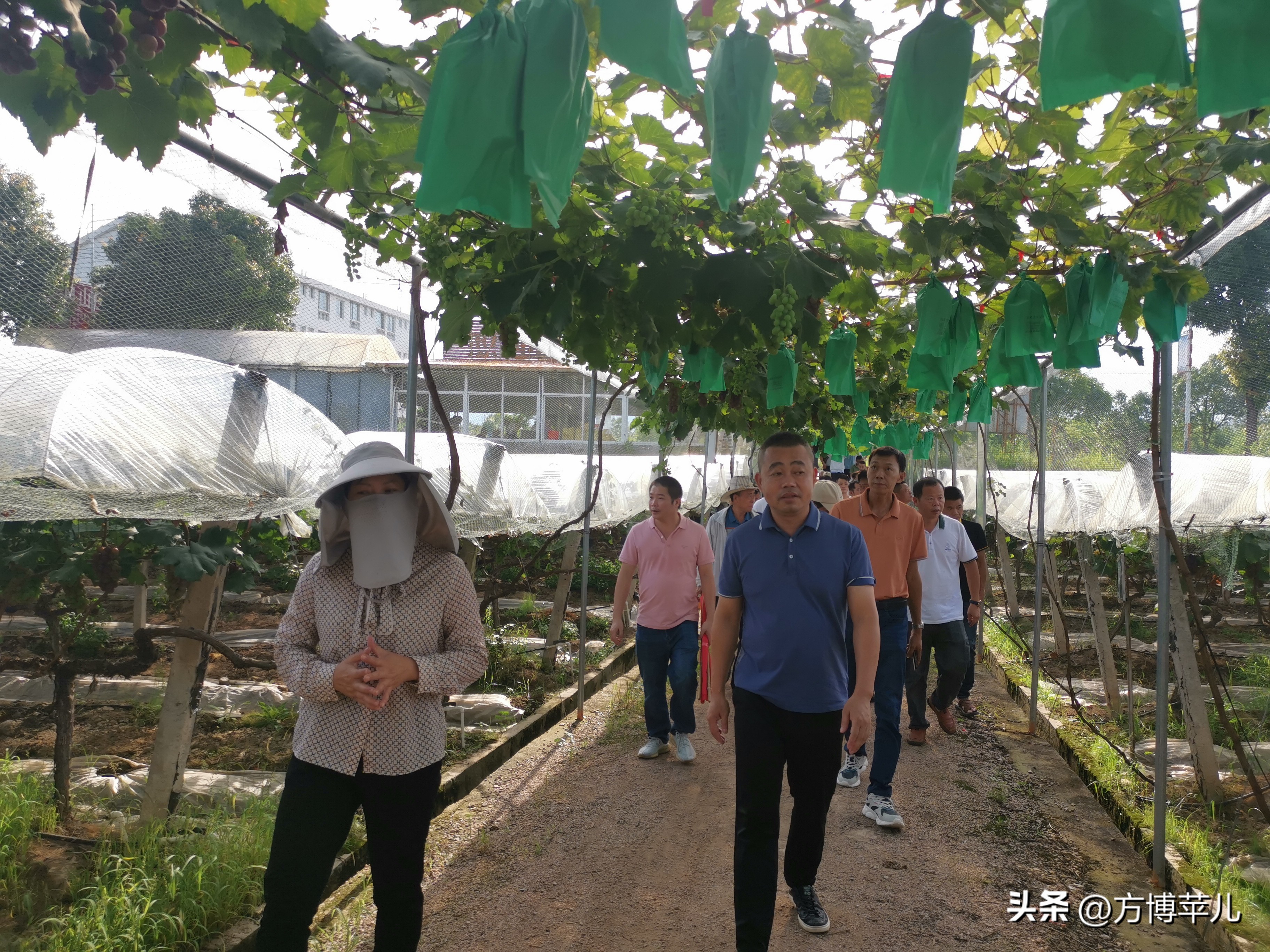 70后乡村振兴新农人,新农人2024年乡村振兴