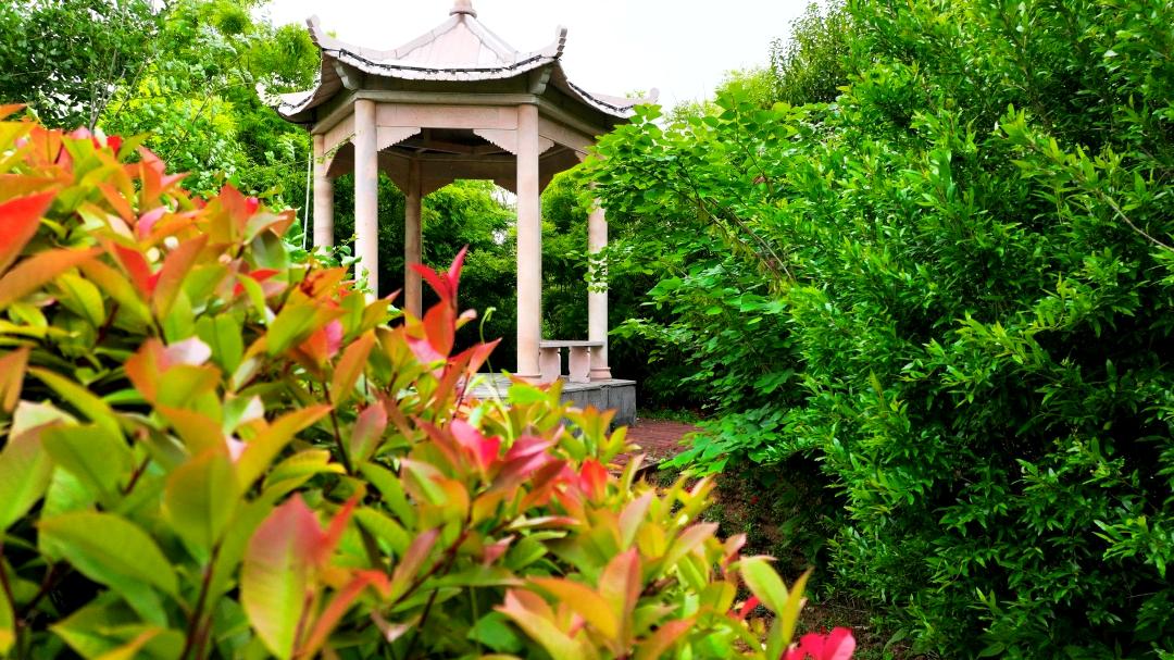 立夏时光美景,立夏时光打卡