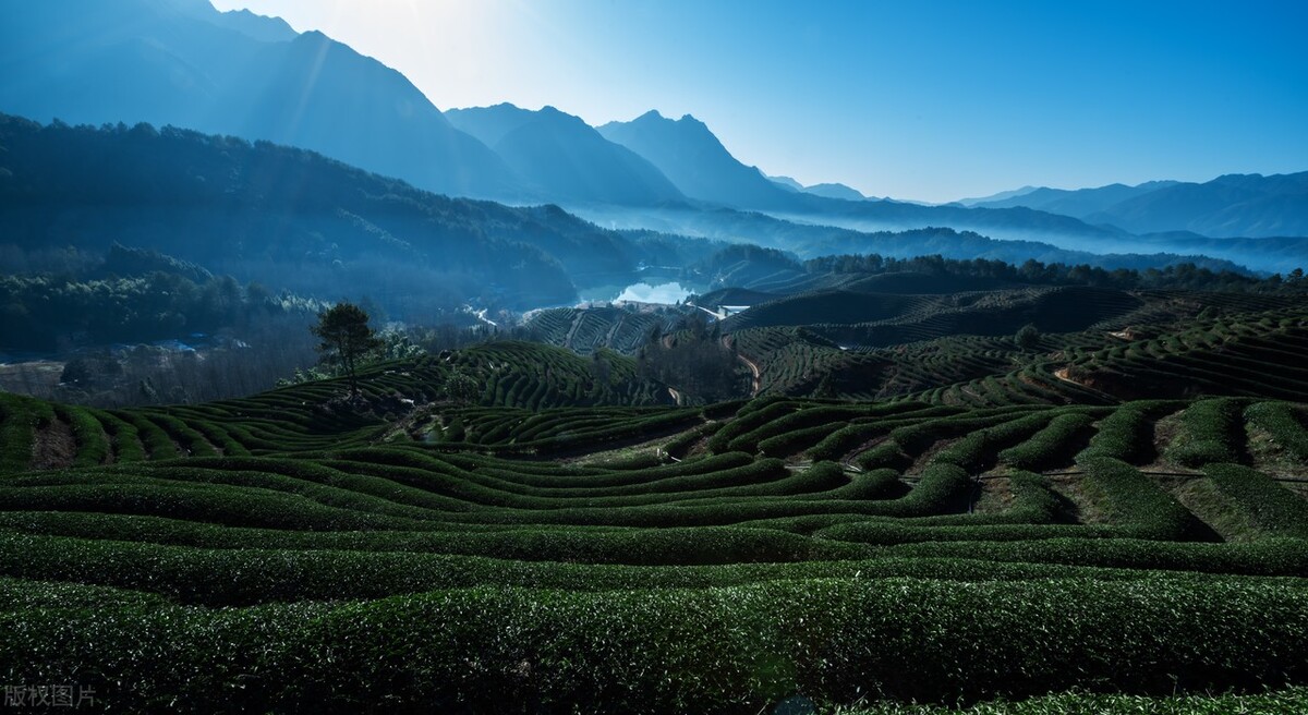 江西5a景区有哪些,江西赣州5a景区几个