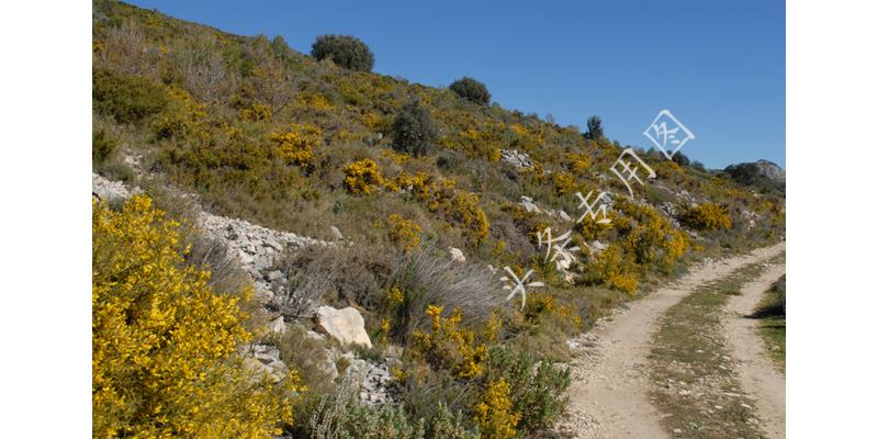 我想和已婚男人分手但他不同意,我想和已婚男情人断绝关系