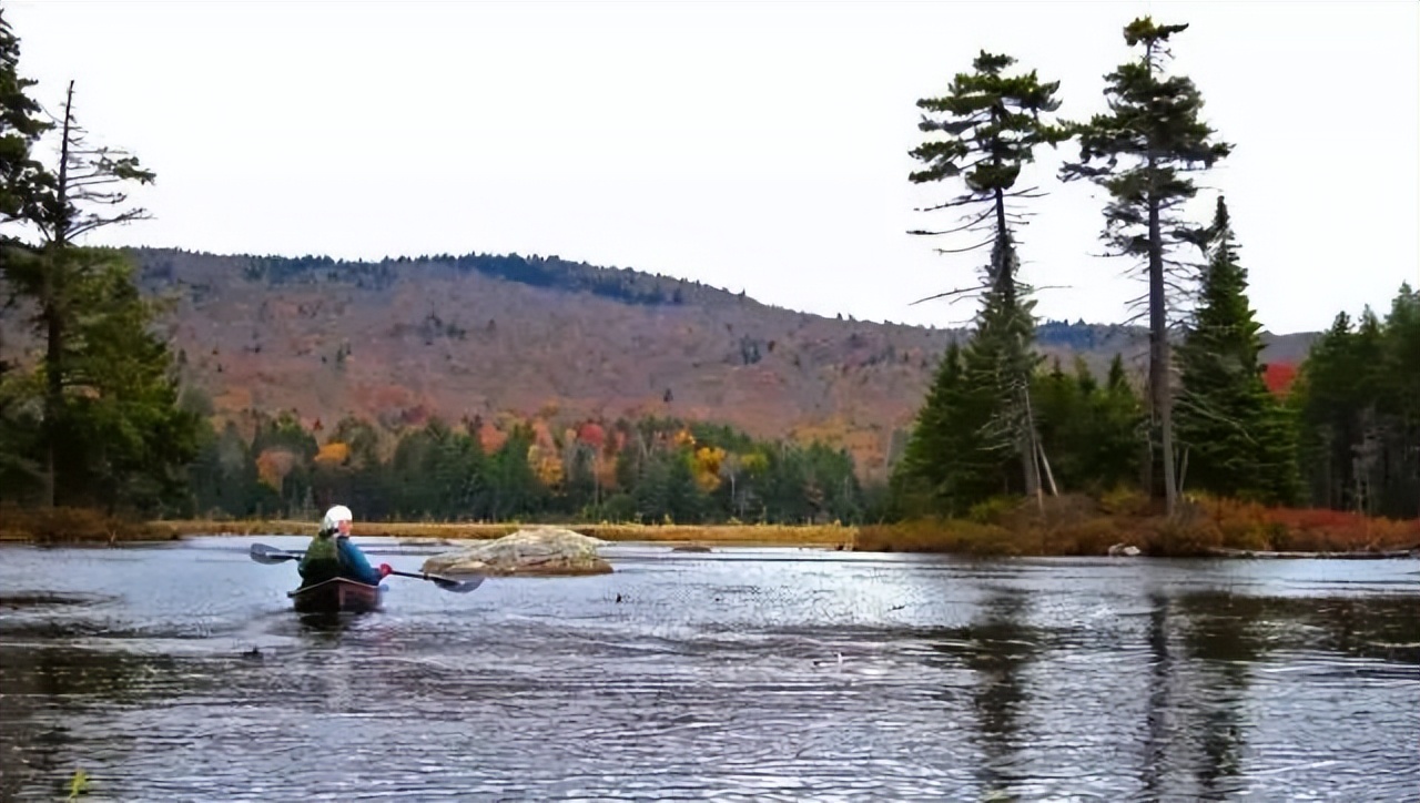 马云如果不卸任会怎样,马云卸任后的目标