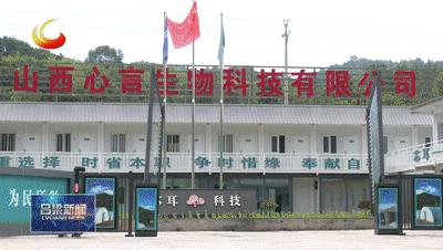 「稳经济促发展·县市区长访谈」中阳：下好政策“先手棋”激发经济新动能