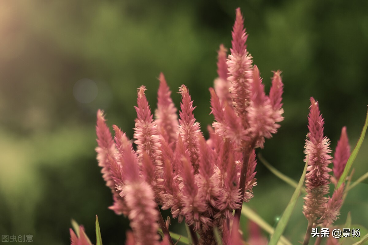 西安婚宴习俗,婚宴回礼习俗