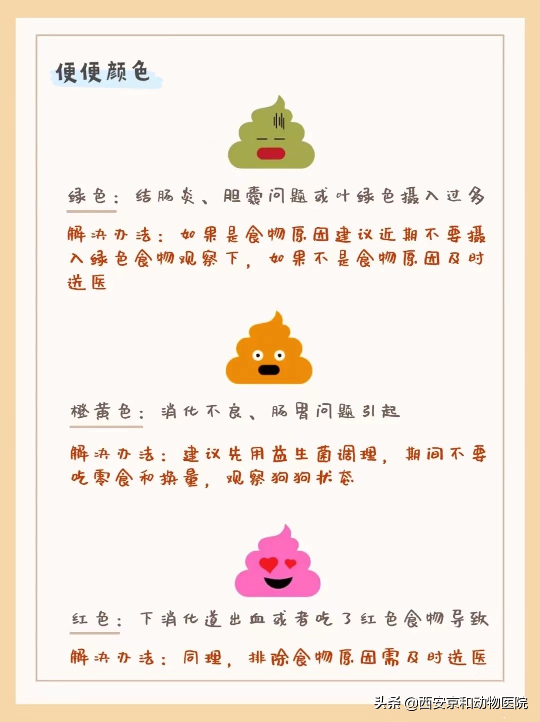 狗狗健康的便便是怎么样的,狗狗健康自测指南