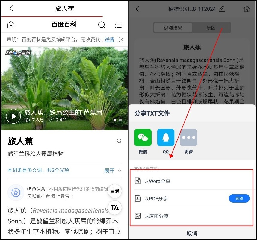 识物扫一扫识别花草,扫一扫识别花草方法
