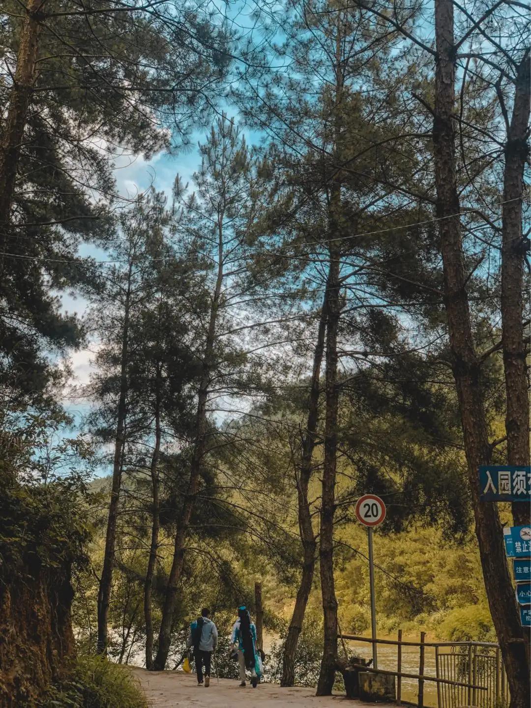 贵阳自驾徒步露营地推荐,贵阳周边露营徒步地推荐