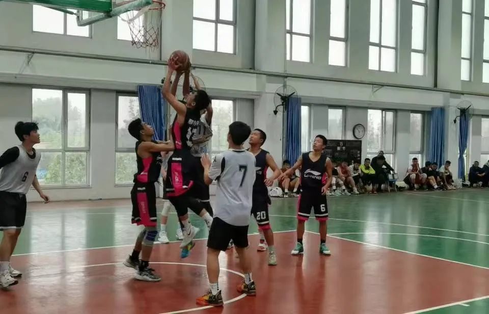 体教融合开创学校体育新局面,体教融合的特色体育发展之路