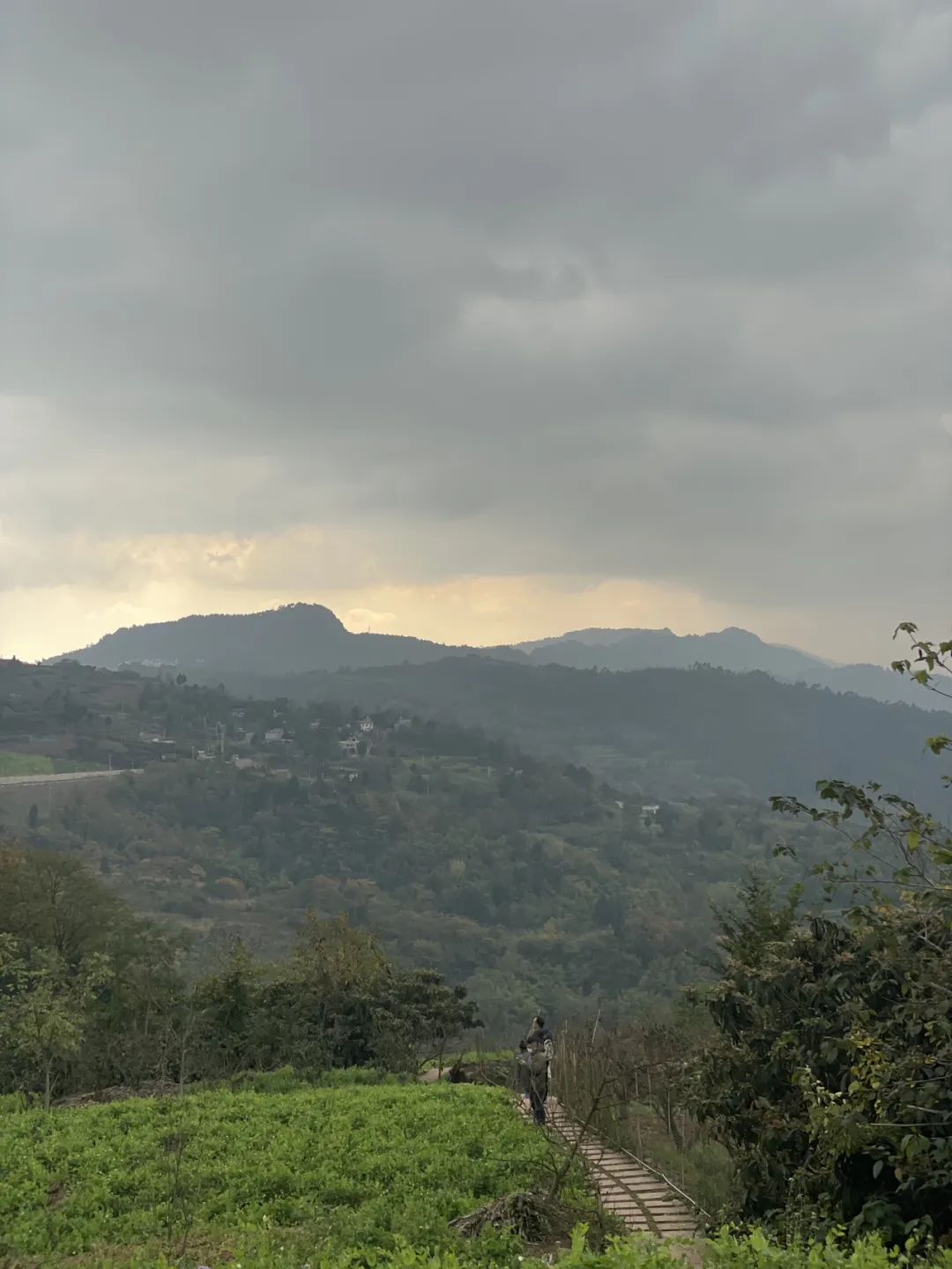 成都旅游豌豆尖,成都仰天窝近郊爬山推荐