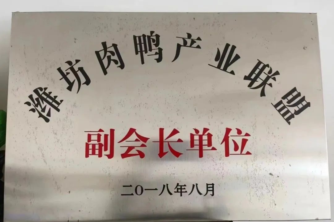 肉鸭养殖乡村振兴,肉鸭养殖与乡村振兴