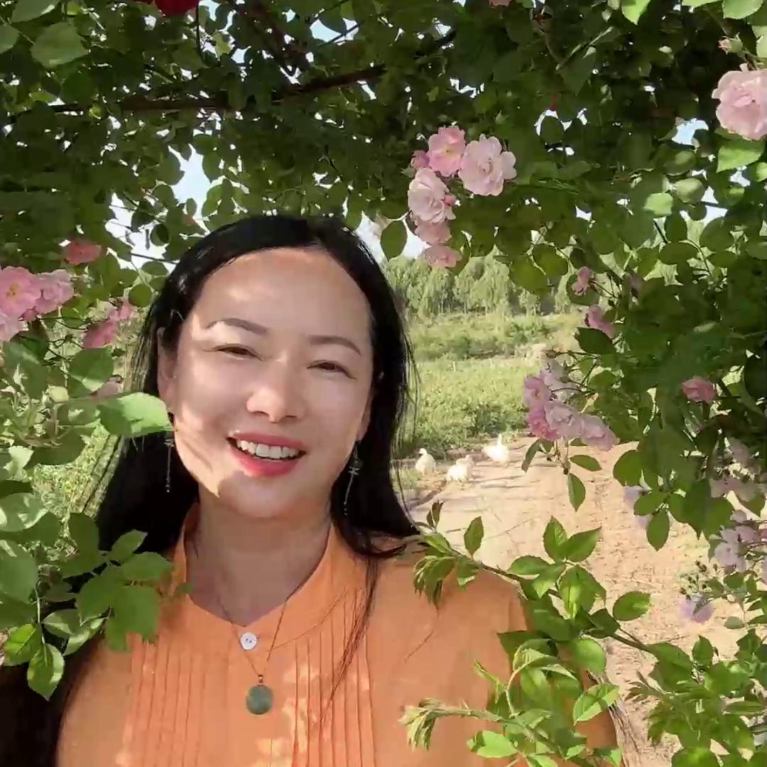 乡村的四月底，我们的玫瑰花儿朵朵盛开了！自产自销的第一...