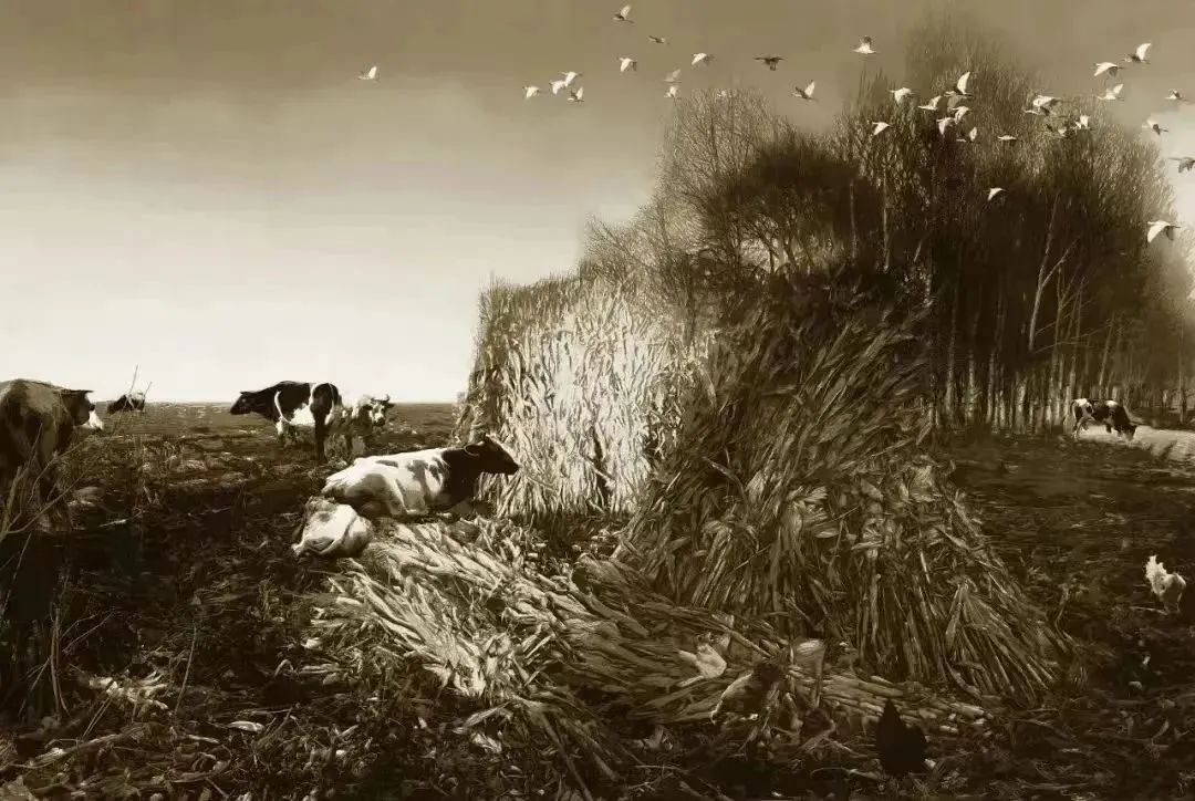 【花儿文化】我上北京唱花儿（上）