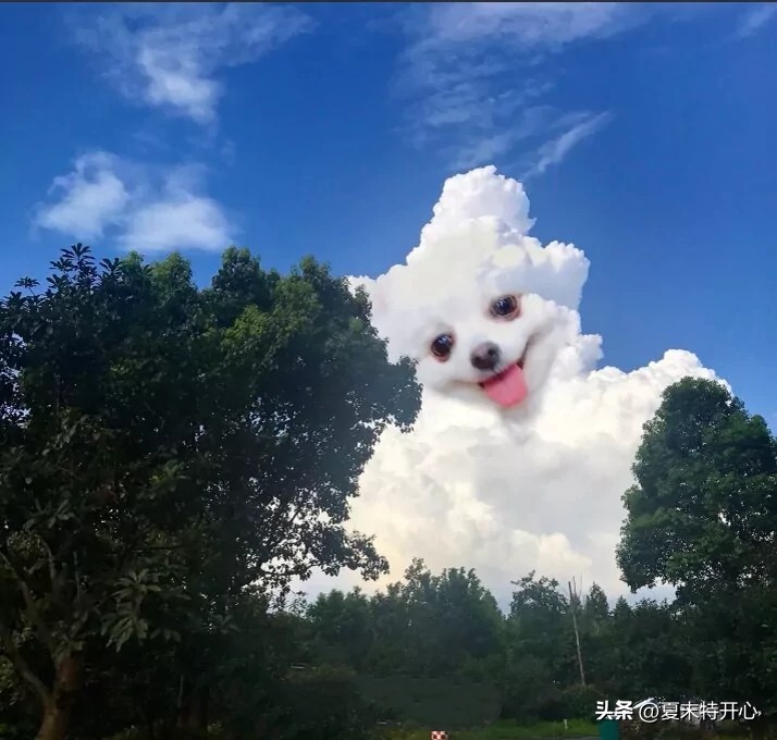 让你笑岔气的笑话,搞笑的让你笑岔气的小故事