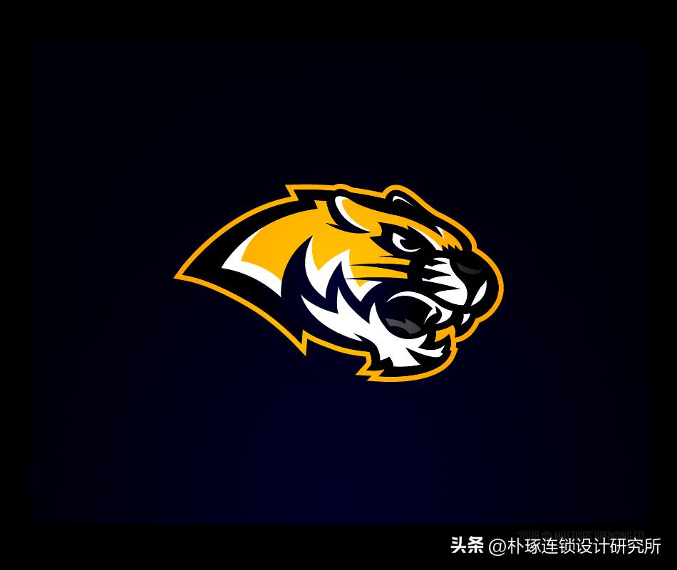 免费老虎标志logo设计欣赏,虎元素logo图片