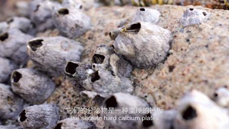 他得了什么病,他得的什么病