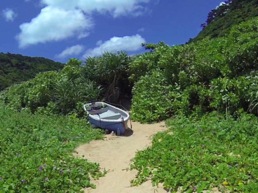 73岁日本大爷荒岛生活,日本老人裸居海岛