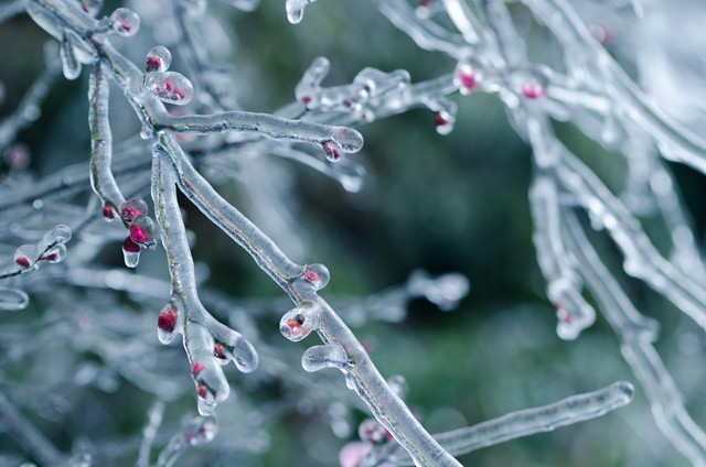 “雪打六九尾，寡妇要发愁”，明日六九尾，寡妇为啥因下雪发愁？