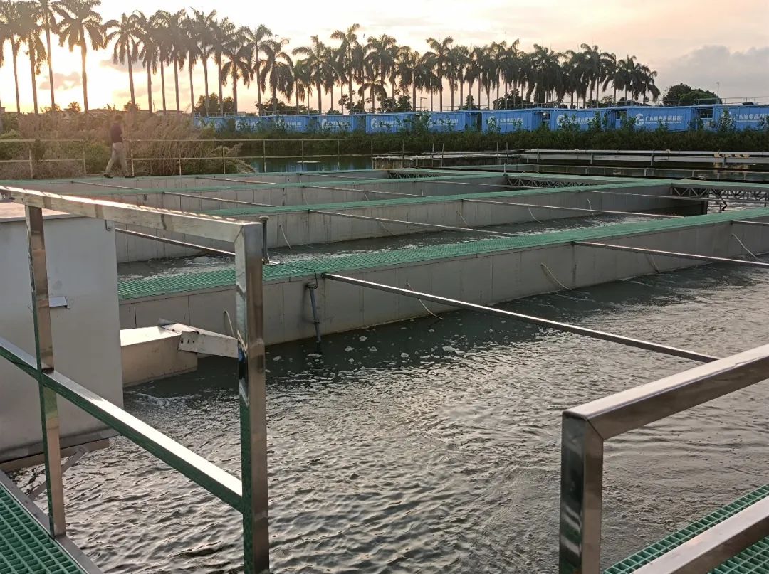 内循环环形跑道或圆形跑道养鱼,养鱼养殖场利润模式