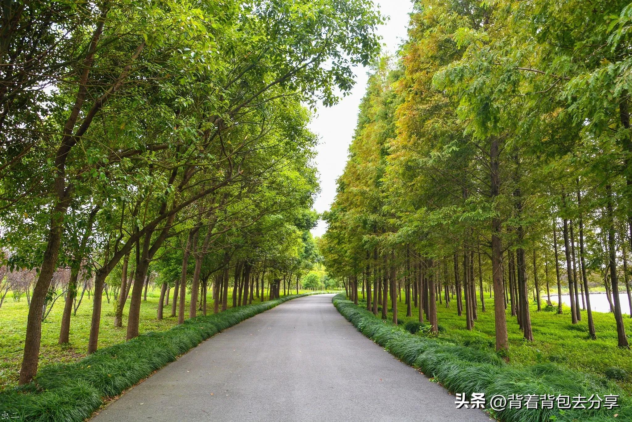 上海最好玩的免费景区推荐一下,上海的十大免费景区介绍
