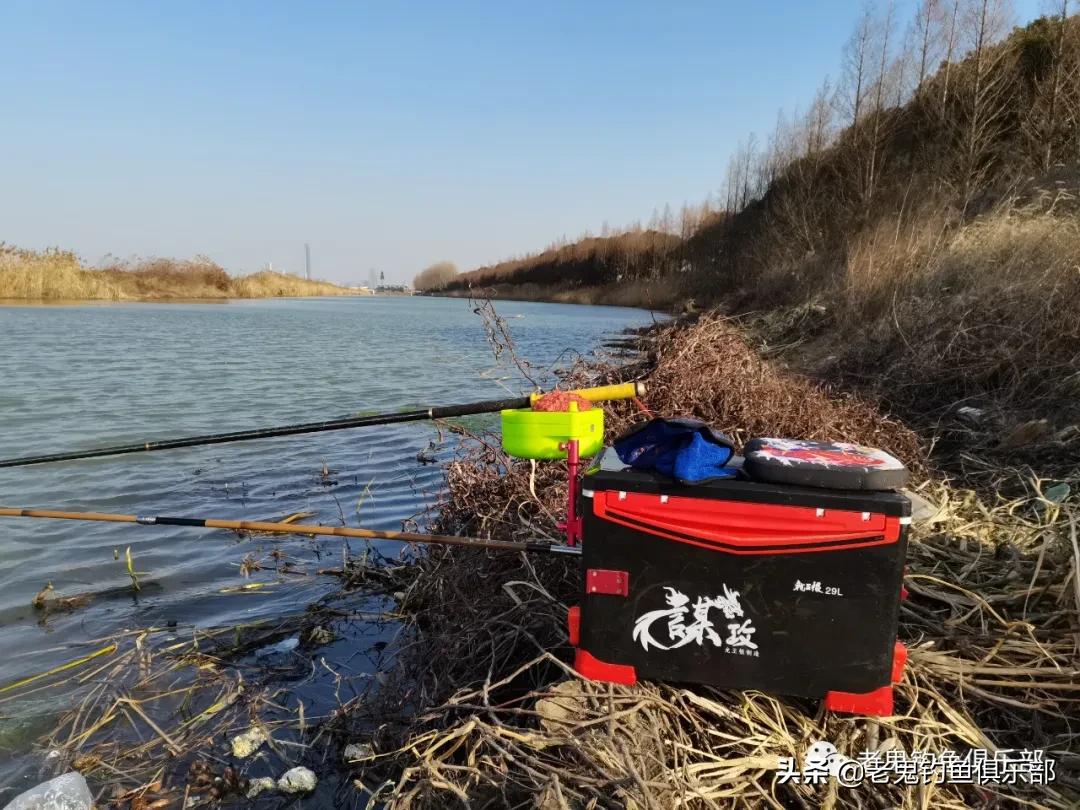 老鬼磷虾打窝米,老鬼磷虾酒米pk西部风酒米