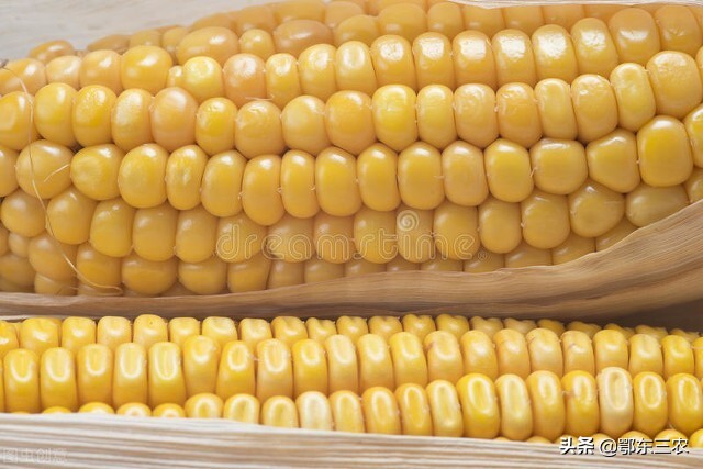 转基因大豆种子标准,转基因大豆有国家标准吗