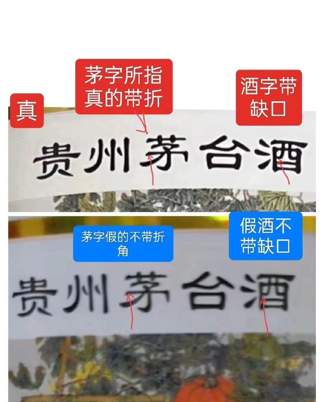 兔茅真假鉴别视频教程,2023兔茅真假鉴别