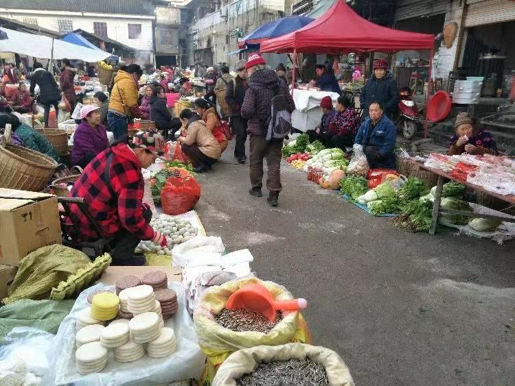 卖豆腐一年可以挣多少钱,在村里卖豆腐能赚多少钱
