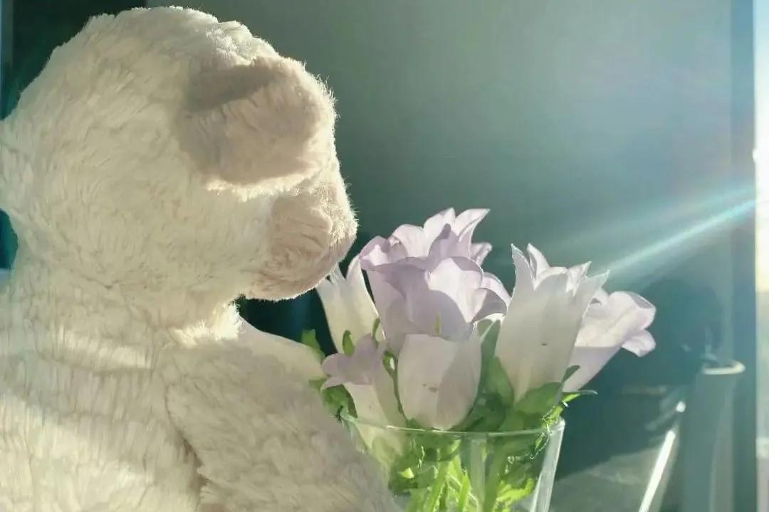 相亲是颜值重要还是人品重要,相亲男生比较在乎外貌