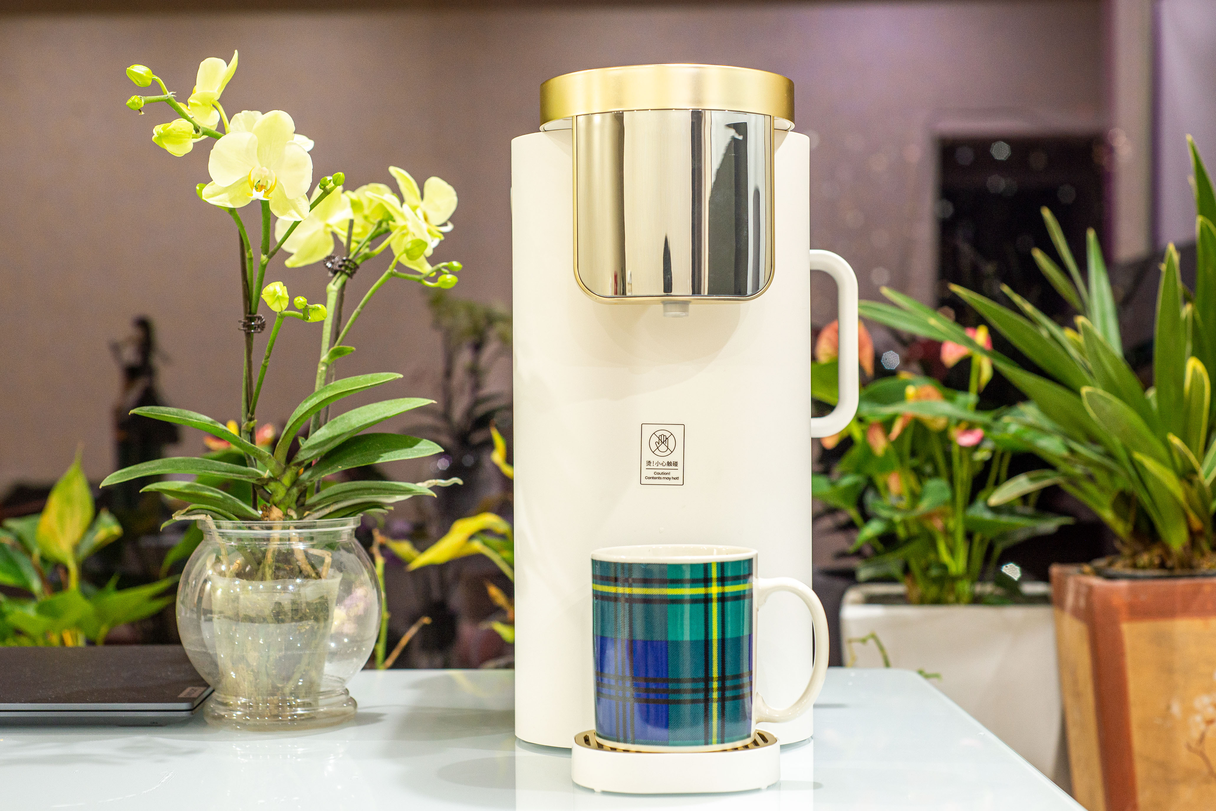 家里泉矿泉机靠谱吗,家里泉矿泉机测评真实体验