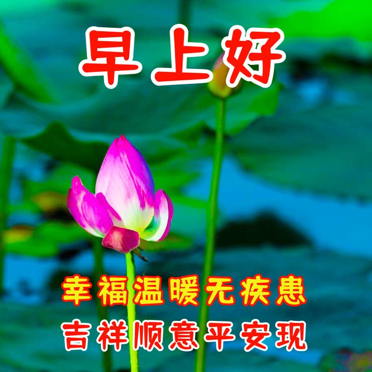 早上好转运发财祝福语,早晨吉祥如意天天发财祝福语