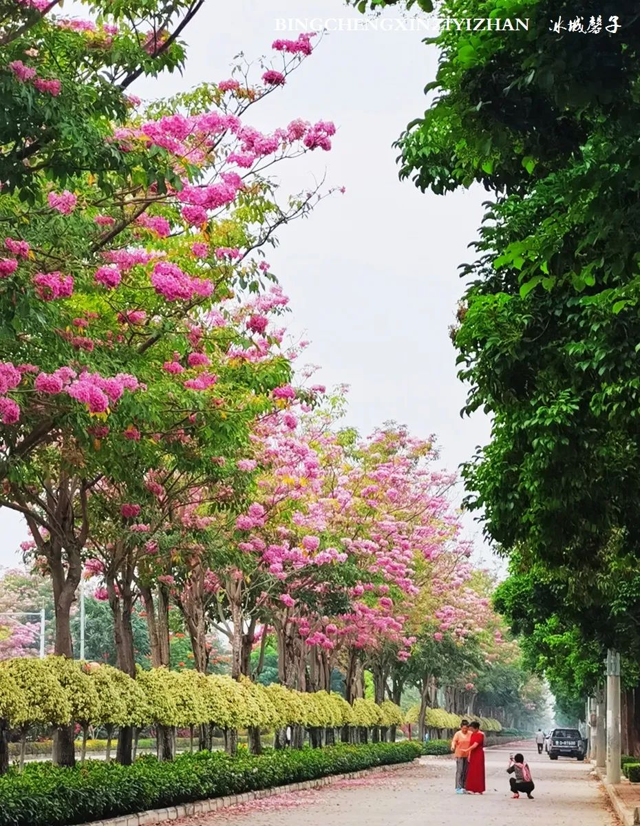 旅居海南,旅居式旅游生活海南