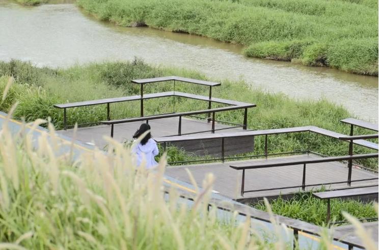 冬日露营围炉煮茶的闲适和惬意,记一次秋天的围炉煮茶露营