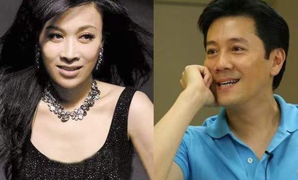 那英高峰有孩子吗,那英和高峰有孩子了吗