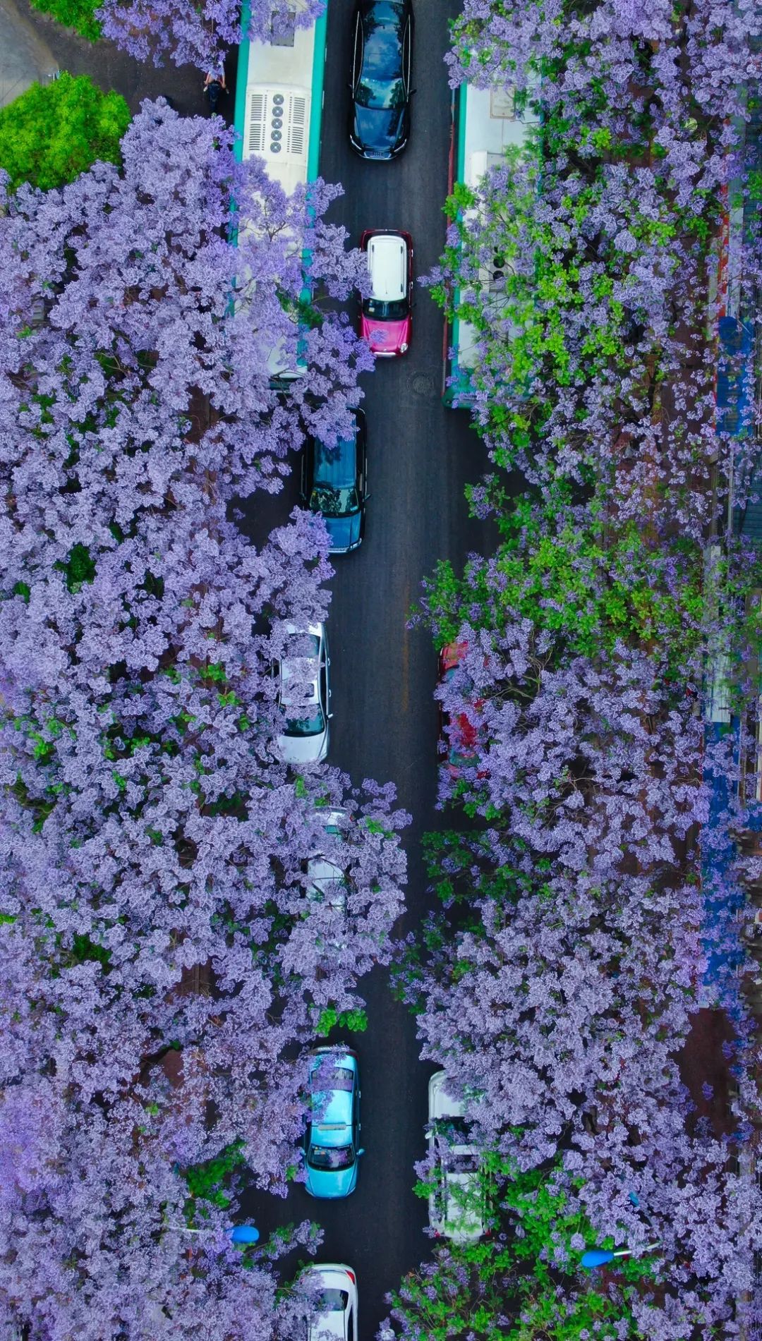 中国十大养老宜居城市,最宜居的十个养老城市