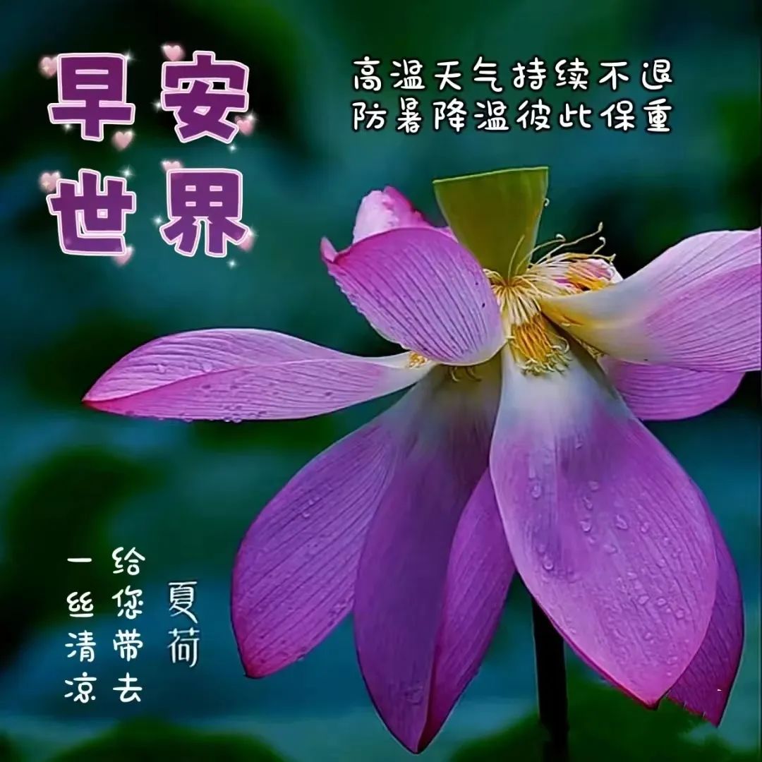 问候语祝福朋友的句子暖心,问候祝福朋友开心快乐的温馨句子