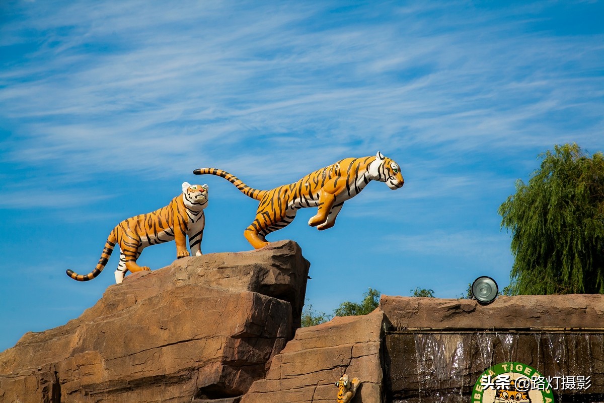8月避暑适合旅游的地方推荐,8月适合去哪里旅行避暑