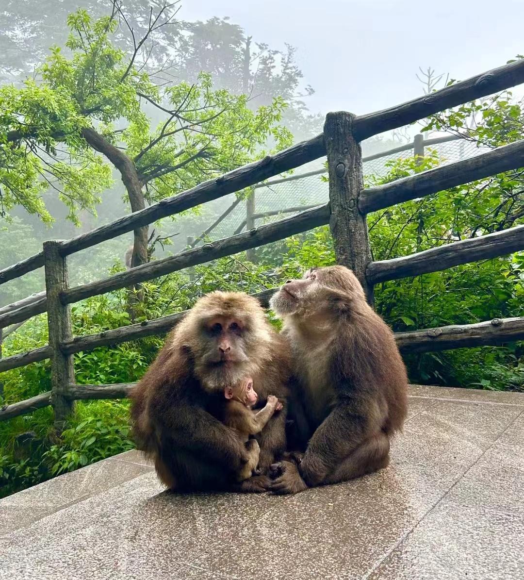 焦虑最好的治愈方法就是旅游,缓解焦虑的办法就是去一次旅行