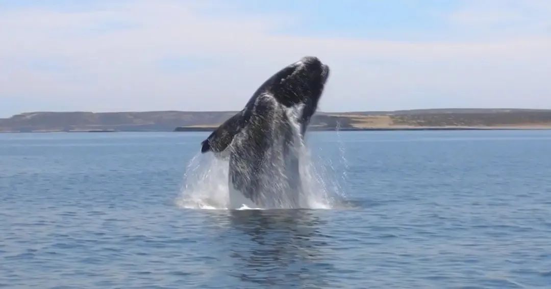 豆瓣评分9.3职场,豆瓣职场潜规则