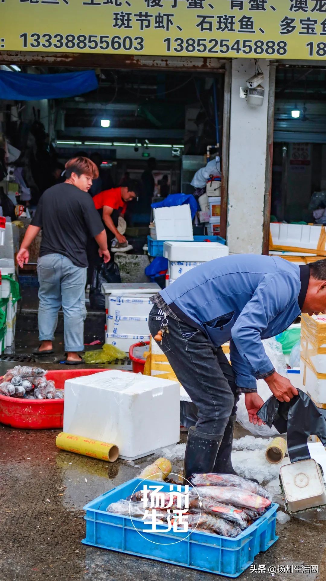 不吃一顿螃蟹，扬州人过不好这个秋天
