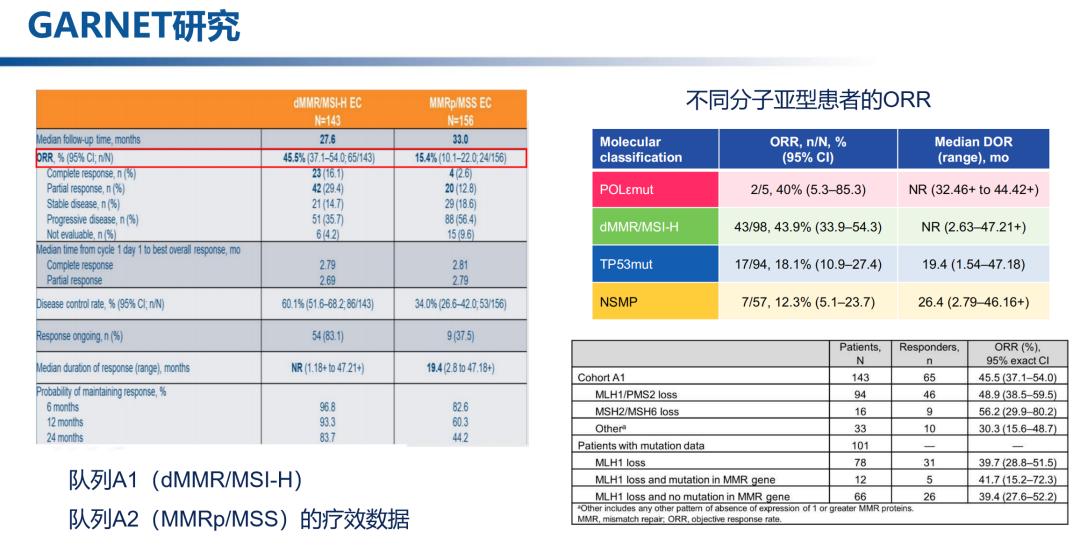 王登凤教授张国楠教授：2022年复发/转移性子宫内膜癌的研究进展