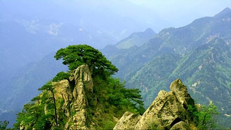 渤海湾盆地构造分析,渤海湾凹陷盆地