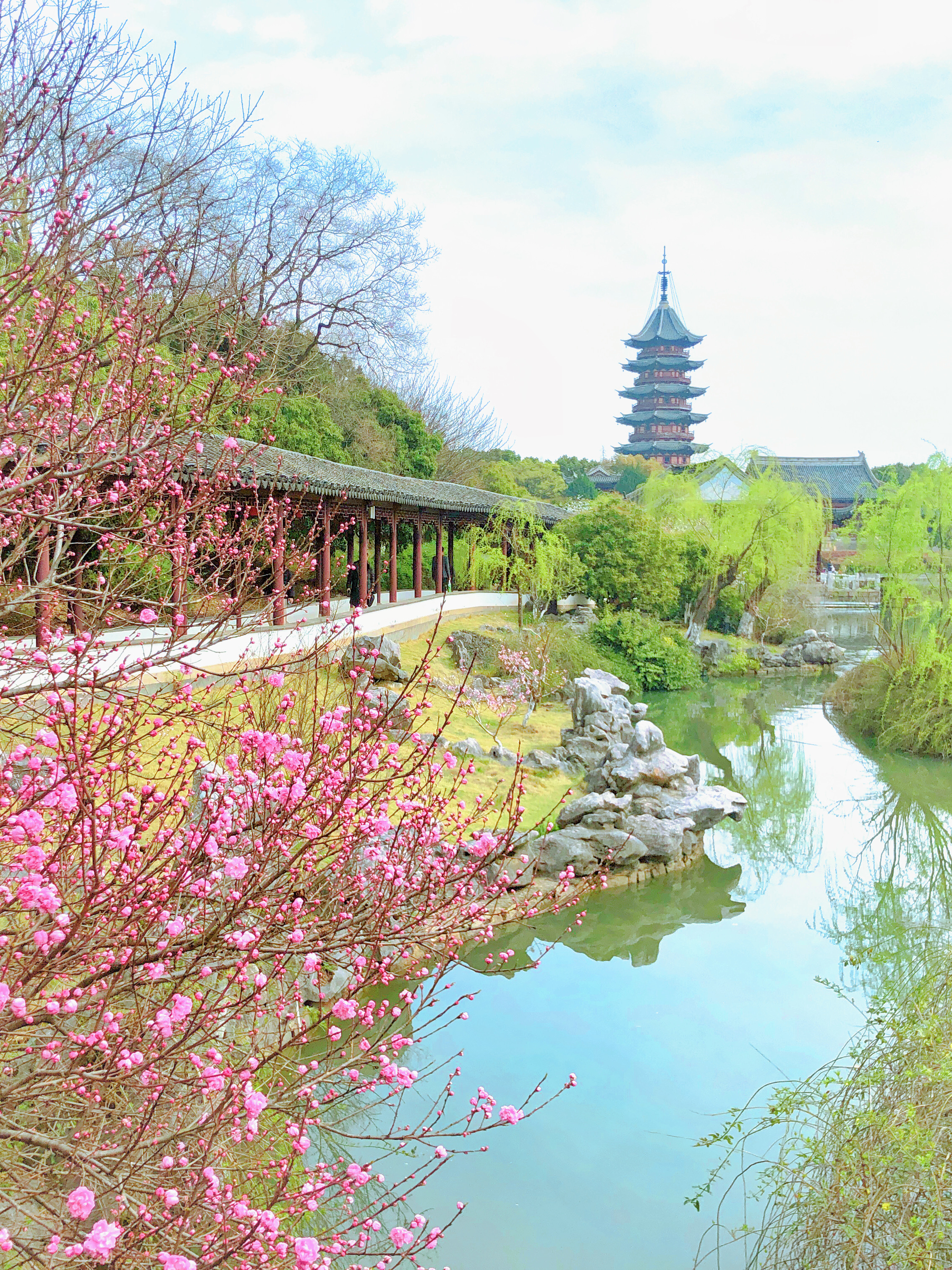 苏州一日游攻略：你一句春不晚，我就挤扁在了真江南（上）