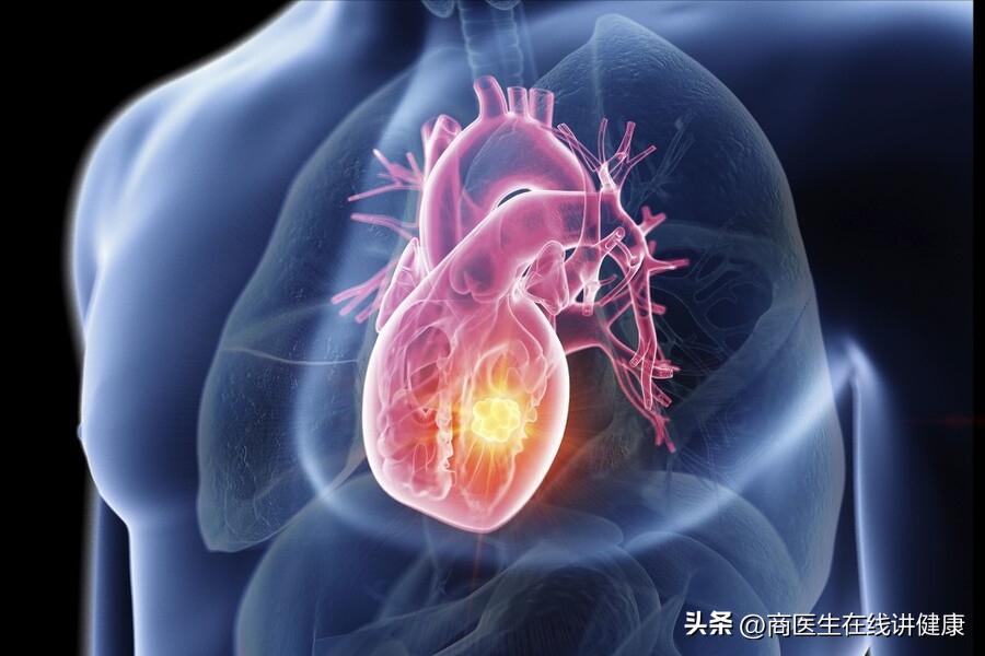 一饿就心慌无力手抖,一饿就会手抖心慌无力是气虚吗