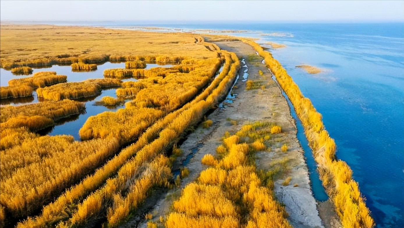 *疆新**为什么不包邮？看完*疆新**有多大就清楚了