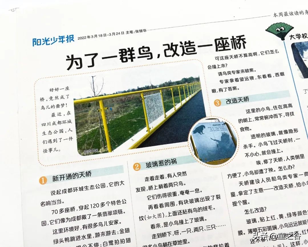 小学生需要知道的时事新闻知识,小学生记录时事新闻播报最新一期