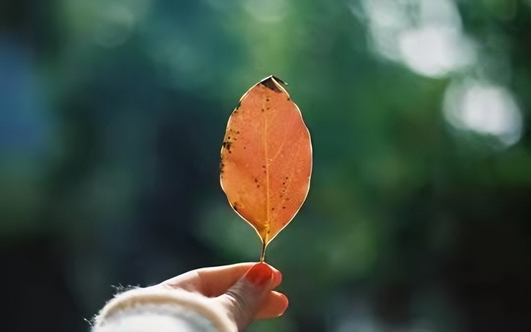 人到中年除了家人一无所有,人到中年唯一的依靠是能力与存款