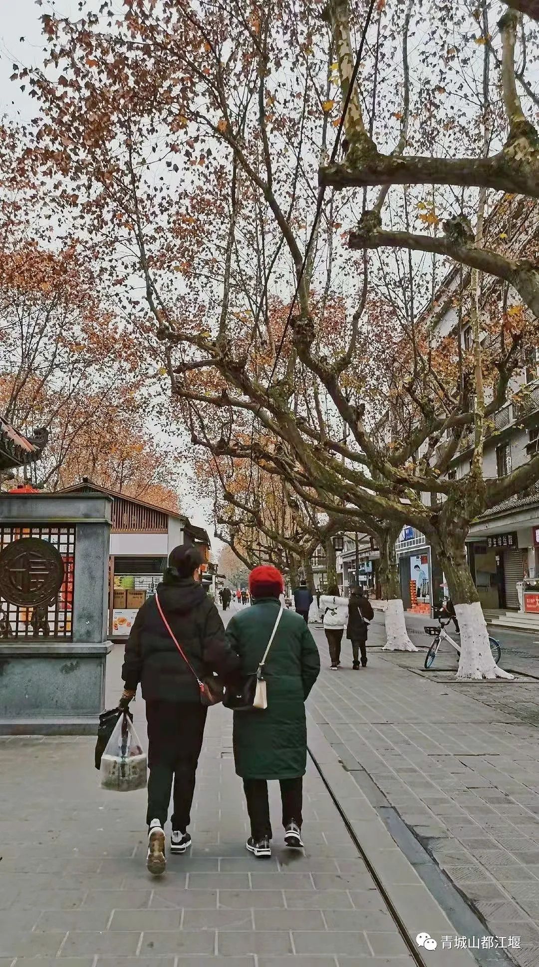 超安逸！水灵妹带你打卡都江堰6条烟火气十足的老街，告别喧嚣和浮躁，邂逅静美冬日~