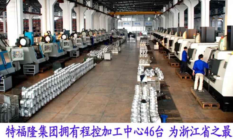 浙江第一高楼背后的女人,浙江第一高楼背后的温州夫妇